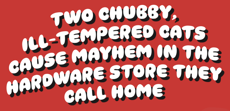 chonkers logline graphic 1